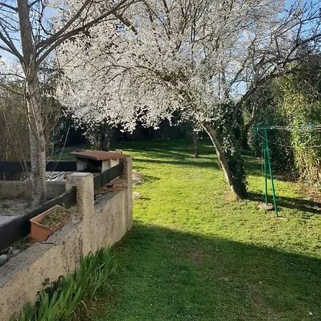 Villa Proche Centre Ville / Jardin / Jacuzzi