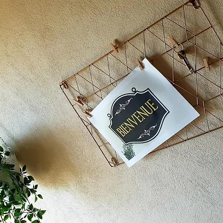 Villa Proche Centre Ville / Jardin / Jacuzzi Castres (Tarn)